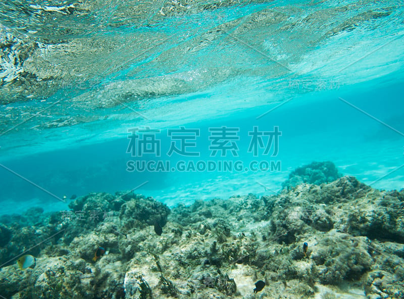 Yejele海滩的海底