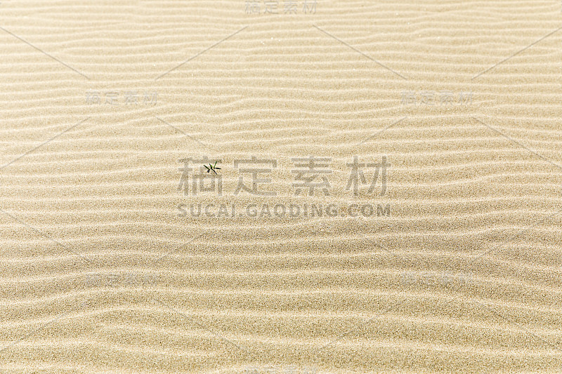沙子