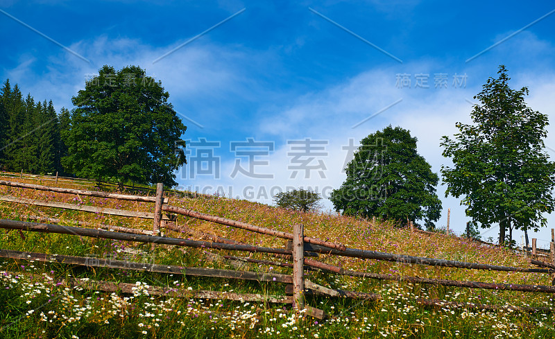 大自然，喀尔巴阡山的夏季景观，牧场上的木栅栏，山上的云杉，美丽的多云天空