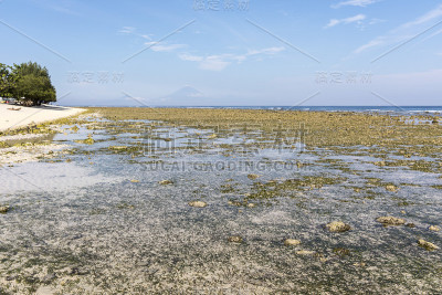 潮起潮落