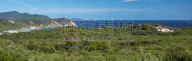 明亮的夏日，澳大利亚海岸植被和巴斯海峡的广阔全景