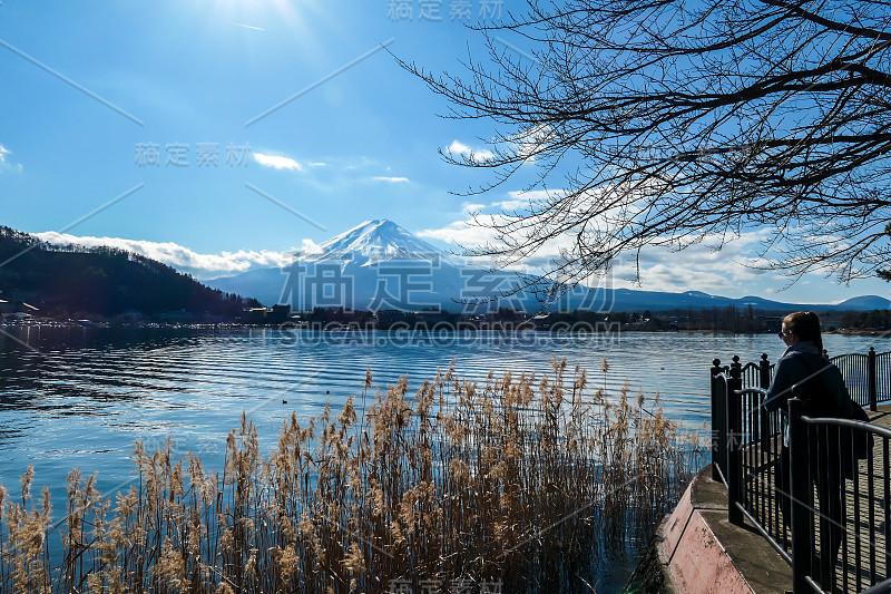 日本——一名女子站在川口町湖边，眺望富士山