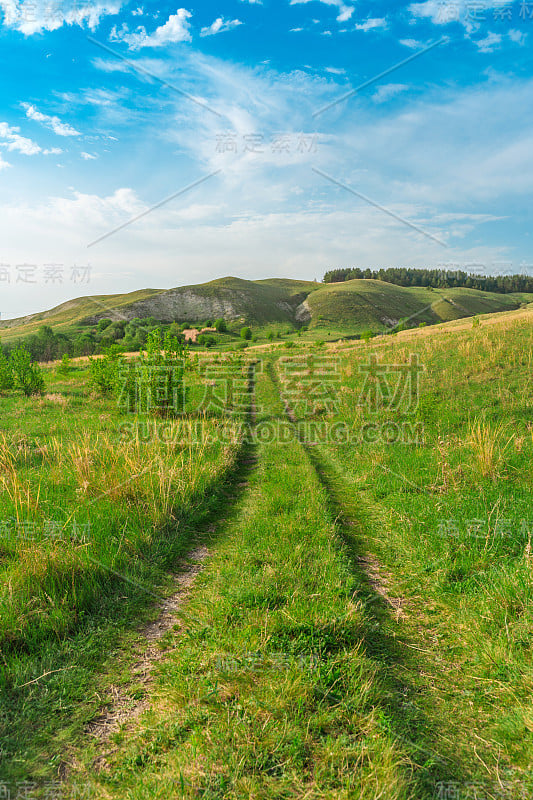 一条小路中间是绿油油的草地，一派宜人的夏日风光，俄罗斯的自然风光