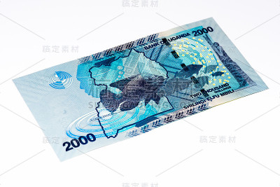 非洲的货币钞票