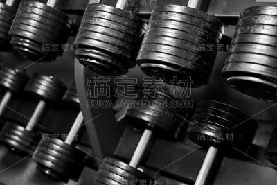 带有黑色圆盘称重架的哑铃