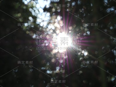 光