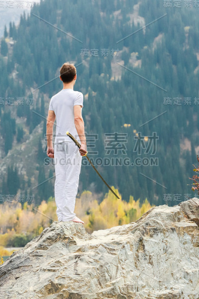一个穿着白衣的人拿着一把剑站在高地的一块巨石上。