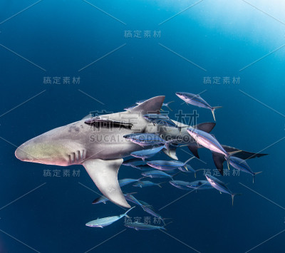 跟我来