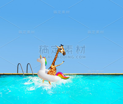 长颈鹿和充气独角兽跳进泳池