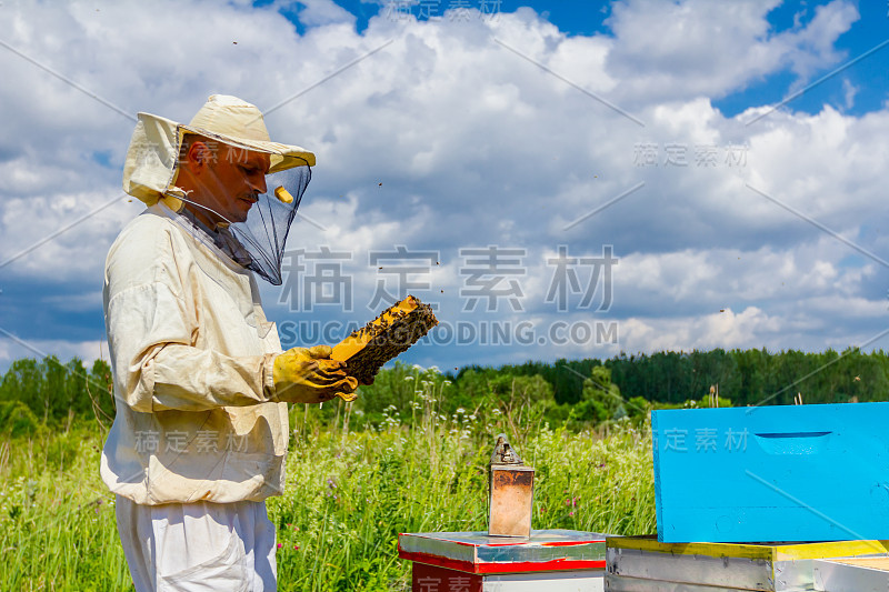 养蜂人，养蜂人拿着蜜蜂的蜂巢