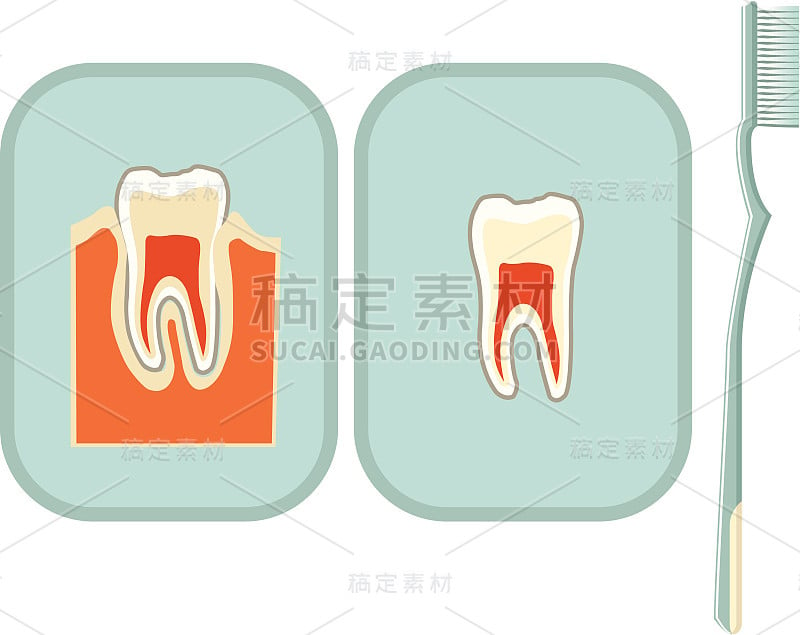 牙齿和牙刷