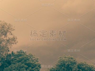 活的自然