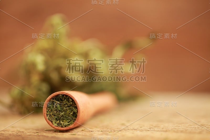 印度大麻