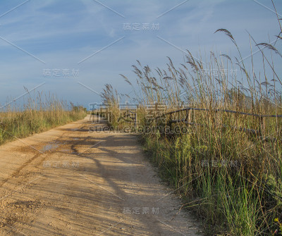 沙路