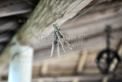 衣夹