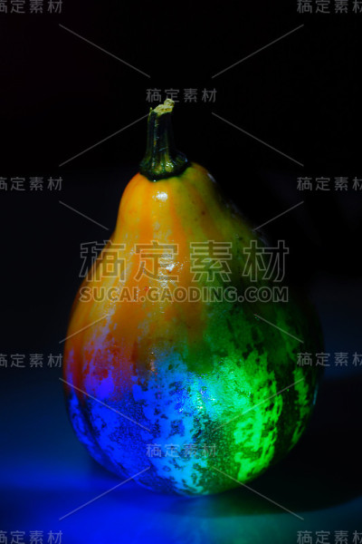 秋装西葫芦多色光画