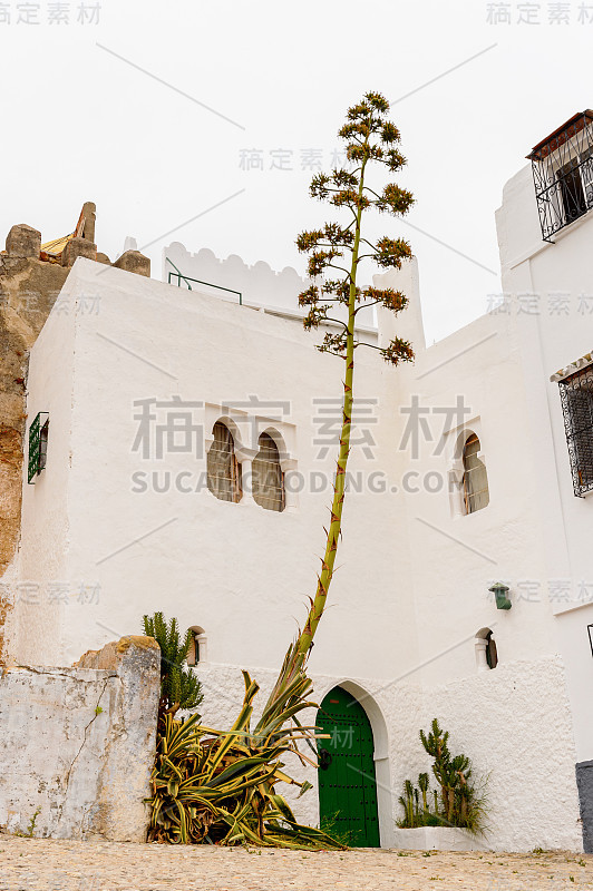 丹吉尔的建筑，摩洛哥北部的一个主要城市。它是Tanger-Tetouan-Al Hoceima地区和