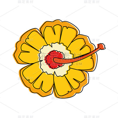 奇异花孤立图标