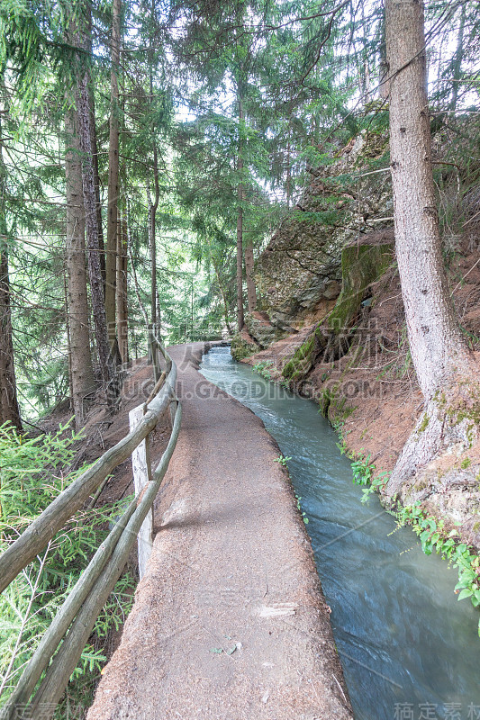 令人惊叹的徒步旅行路线沿着瑟提罗德尔索尔河通道穿过高山森林