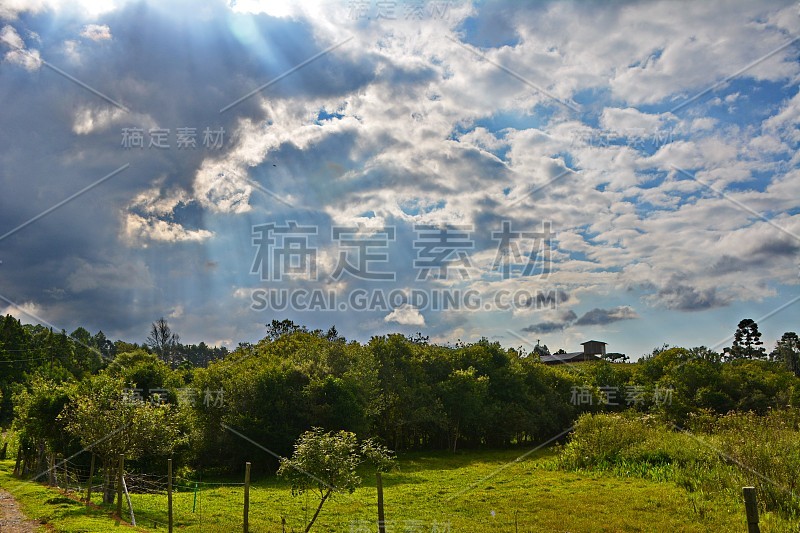 坎波阿雷格里景观