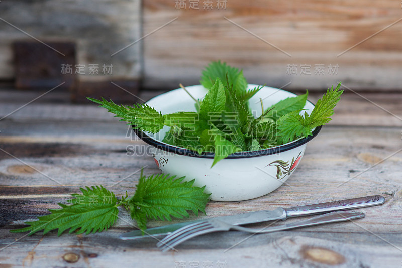 新鲜采摘的小荨麻放在碗里准备做沙拉(荨麻)