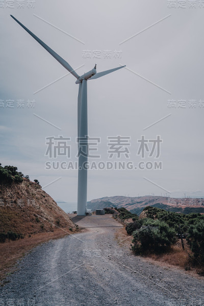 风景与风力涡轮机农场在惠灵顿