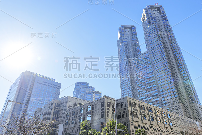 东京都政府大楼