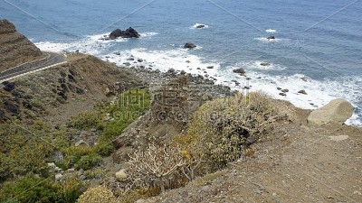 特纳利夫岛景观