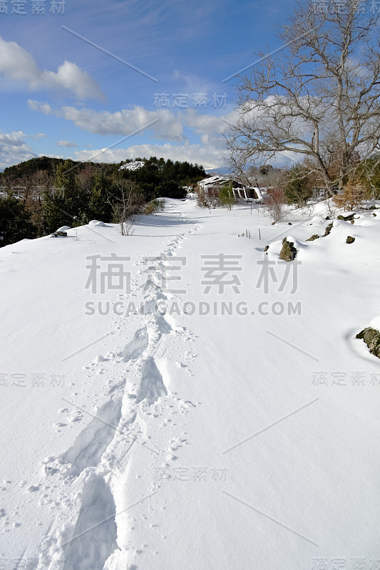 冬季在西西里的埃特纳公园的雪地上留下了雪鞋的脚印