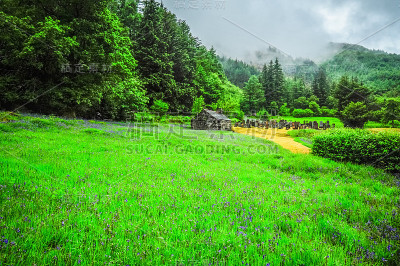 古老的教堂和墓地