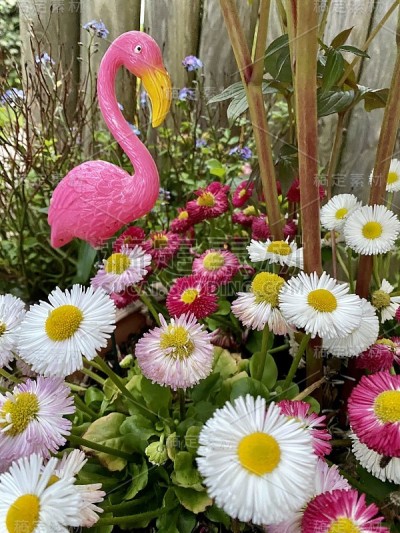 花