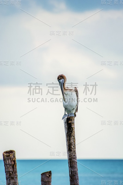 沉思