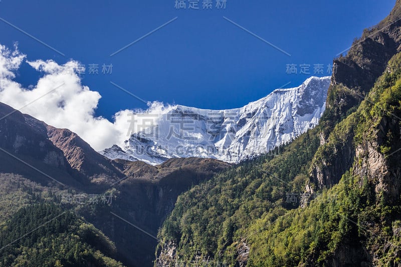 山与树之间的雪峰