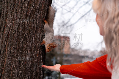 老妇人晨跑后在公园里喂松鼠。中年积极的生活方式。
