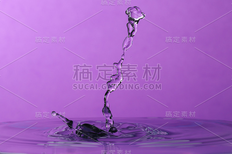 水滴碰撞孤立的紫色背景