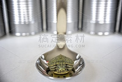 新鲜的甲鱼汤