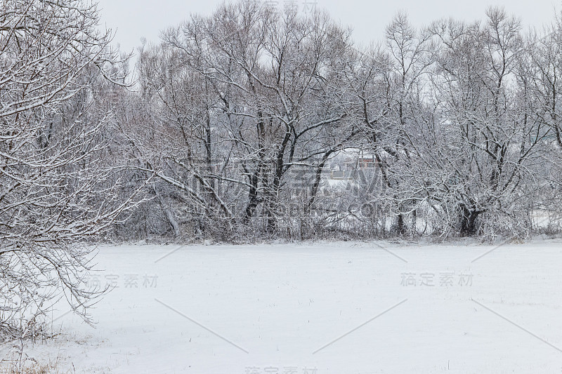 冬季的乡村景观是白雪皑皑的草地和被雪覆盖的树木