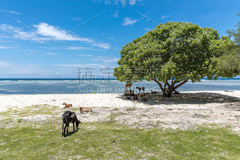 Gili Trawangan