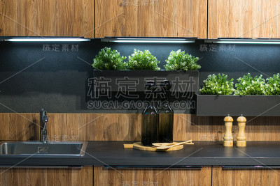 时尚的厨房内部生态黑木绿色植物在架子上