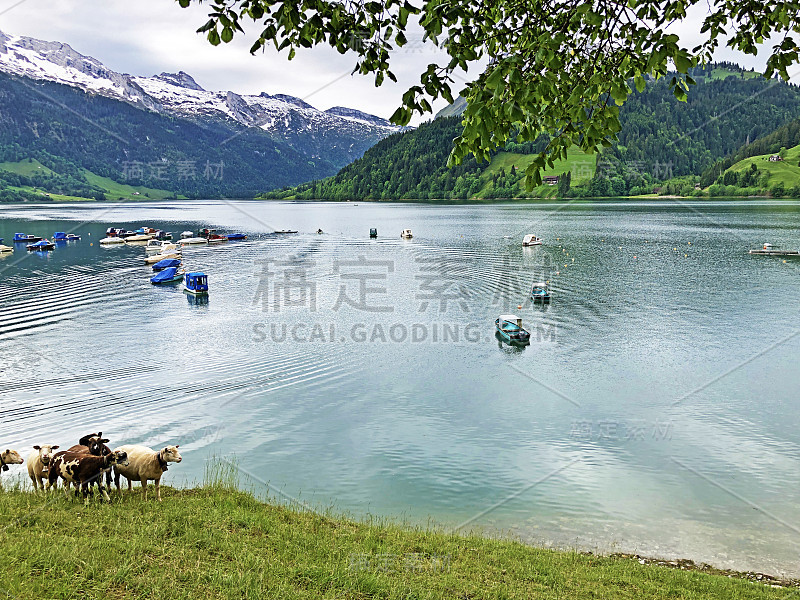 在瑞士施维茨州内塔尔的瓦格塔勒尔湖(Waegitalersee)和高山瓦格塔勒尔湖(Waegital