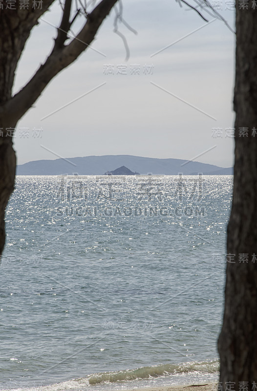 美丽的夏日壁纸