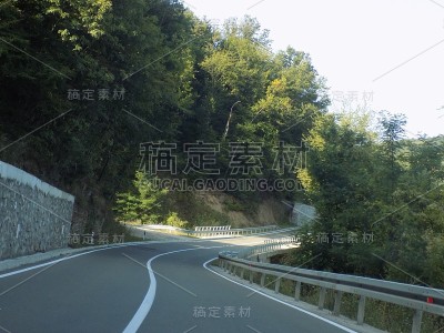 穿越森林的公路旅行