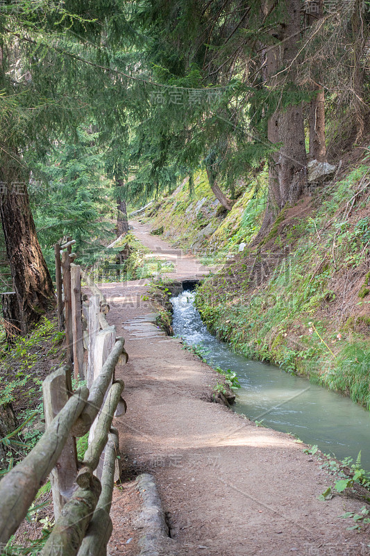 令人惊叹的徒步旅行路线沿着瑟提罗德尔索尔河通道穿过高山森林