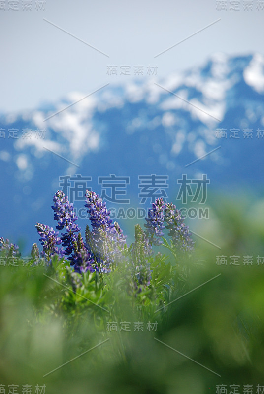 飓风Ridge_Olympic NP