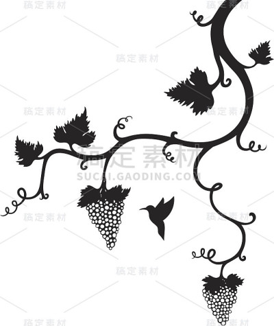 葡萄树点缀