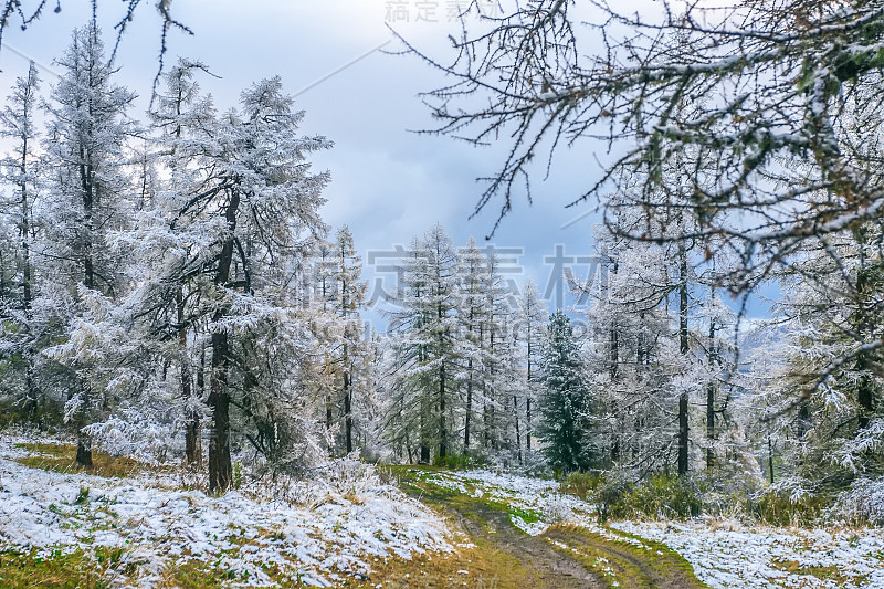 山口的雪