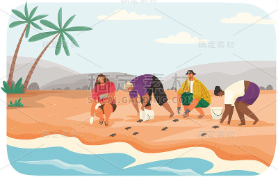 社会工作者在海滩上营救海龟。爬行动物爬出来，跑到水里自由地游泳