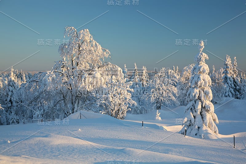 被雪覆盖的景观