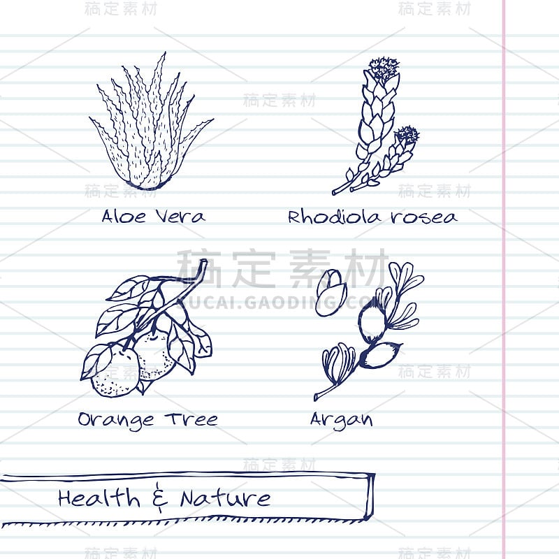 手绘插图-健康和自然设置