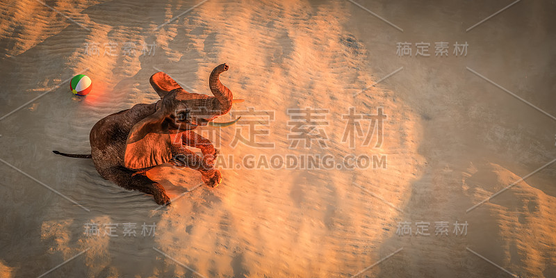 大象坐在沙滩上看日落